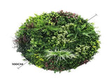Slimline Artificial Green Wall Disc Art 100cm Colour Fresh UV Resistant V637-DP9865