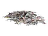 1000 Pieces Jigsaw Puzzle Aesthetic Landscape Jigsaw Puzzle Pieces Paper Puzzle Game for Kids Adults V1294-YM0512-3115220138011