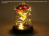 24K Gold Plated Rose Flower LED Light with Glass Cover Base Valentines'Day Wedding Gift Red V1294-YM0727-JY15089-01
