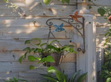 Hanging Potplanter w Pot Wall Bracket Hummingbirds 55cm V637-06997PLN