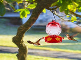 Outdoor Hanging Hummingbird Feeder - Hand-Blown Glass with Plastic Bottle, 15 oz, Sealed and Leak V1369-AZ3-W-11375