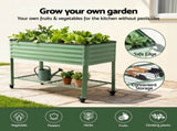 Green Fingers Elevated Raised Garden Bed Kit Mobile w/ Locking Wheels & Storage Shelf 100KG Max Load GARDEN-AG-PLAT-WLS