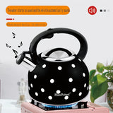 Whistling Tea Kettle Stainless Steel Stovetop V1142-TM601099628261280