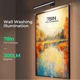 Modern LED Picture Light for Art Display, Sleek Black Finish V1102-DSZ-001-006