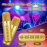 Gold Karaoke Machine with 2 Wireless Microphones Bluetooth-Compatible 5.0 for Parties V201-QHGMMOREONE049