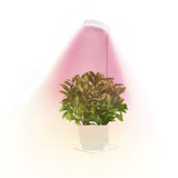 Full Spectrum LED Plant Grow Light with Telescopic Stand, Angel Ring Design, Dimmable Timer & V1341-ZY-76TZSDPE-3PCS-J