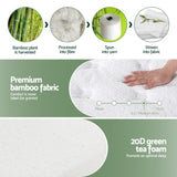 20cm Giselle Mattress Queen Green Tea Mattresses MATTRESS-B-MINT-20-Q