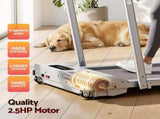 Everfit 3 in 1 Walking Pad Treadmill 12% Incline Foldable Under Desk Treadmills for Home Gym With TMILL-380H-2INC-L-SI