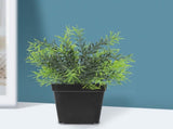 Succulent Planter Plastic Black for 100Pcs 2.8x2.7x2.2in V1370-AZ4-16788