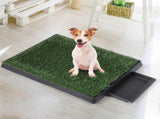 PaWz Indoor Dog Pet Grass Potty Training PT1070-M