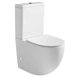 White Dual Flush Ceramic Skirted Toilet with Heavy Duty Slow Closing Seat V178-68996