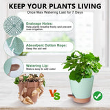 Planters - Self-watering succulents - Set of 6 tabletop planters - Minimalist design V1188-ZXY-131-440