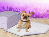 PaWz 400x Pet Dog Toilet Training Pad PT1197-LV-400