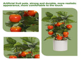 Small Fake Fruit Tree Decor Artificial Potted Tree with White Pot Potted Plant Perfect for Kitchen V1294-YM0523-220324CY13-1