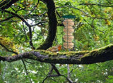 Suet Feeders for Outdoors Hanging Rustproof Metal Suet Holder Cylinder Feeder Portable V1192-AZ-W-10005
