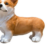 Dog Statue Vivid Cute Style Small Compact Resin Material Corgi Ornament for Gardens Indoor Desks V1294-YM0717-3111220225011
