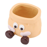 Succulent Pot Resin Cute Decorative Planter with Drainage for Ornament Entryway Key Storage Yellow V1294-YM0901-3111250025111