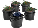 RDWC Hydroponics Grow System, Hydroponic Growing Kit with Top Drip, Recirculating Deep Water Culture V952-SSSPXT41T8INE1FIBV3