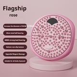 Magnetic Foot Massage & Waist Twisting DiscHome Body-Shaping Fitness Equipment, Silent Anti-Slip V1106-ZYNYP001