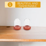 10 Sets Clear Display Dome Wooden Base Bell Jar Cloche Diy Mini Display Dome With Wood Base V1366-AZ2-W-18427