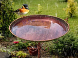 Vintage Metal Bird Bath with Pedestal Stand V1142-LP601099715345068