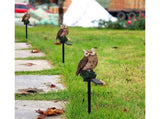Garden Solar Lights Outdoor Decor- Resin Owl Solar LED Garden Lights-Waterproof, Energy Saving- Owl V1263-JX-1695
