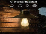 Black Hanging Solar Lights Lantern Lamp with Shepherd Hook,Waterproof Bulb Lights for Garden Outdoor V1366-AZ2-W-29061