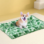 i.Pet Pet Cooling Mat Gel Dog Cat Self-cool Puppy Pad Large Bed Summer Green PET-COOL-SIDE-100-GN