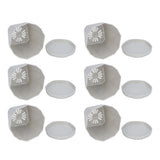 6Pcs Small Plant Pot Lightweight Versatile Simple Style Plastic Flower Pot with Trays for Indoor V1294-YM0901-3111240201812