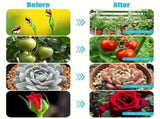 Versatile Floor Plant Grow Light with Full Spectrum LED Ring, Telescopic Stake, 3 Color Modes, V1341-ZY-WAQJ6S4A-BLACK-2PCS
