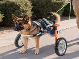 Dog Wheelchair for Back Legs, Lightweight 2 Wheels Pet Wheelchair, Height, Width & Length V952-CWLYLLSTDHXL2W9B4001V0
