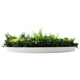 Slimline Artificial Green Wall Disc Art 80cm Colour Fresh UV Resistant V637-DP9864
