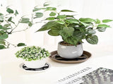 Plant Saucer Drainage Rack Stand,Tutuviw 21Pcs 3 Size Flower Pot Level Feet Elevator Support V1189-WXFWAL-20260319-00509