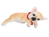 Desktop Puppy Resin Ornaments Realistic Desktop Decorations Puppy Statue for Indoor V1294-YM0715-3115210263811