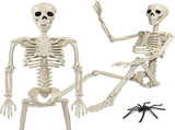 Halloween Skeleton 36-Inch Skeleton Poseable Skeleton Halloween Decorations - White - Size 1 Pcs V1107-129-72160-WHT-1PCS