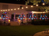 4 Pack 4th of July Solar Lights Outdoor Patriotic Garden Decorations Blue Red White Solar Lights V1366-AZ2-W-16401