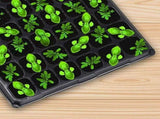 15 Pcs 72 Cell Seed Starter Tray - Reusable Seed Growing Starting Tray Fits 1020 Trays, Thick V1366-AZ2-W-20029
