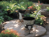 Black White Polka Dot Chook Planter 35cm V637-40490CHK