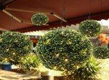 Outdoor Villa Garden Landscape Lights Simulate Potted Solar String Lights Luminous Grass Lights V1294-YM0523-220225DY04-3
