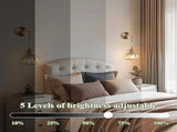 Battery Operated Wall Sconces Set of 2, Vintage Amber Glass, Rechargeable, Remote Dimmable V1263-JX-5779