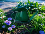 1.4L Capacity Watering Can with Long Spout, Outdoor & Indoor Watering Pot with Comfortable Handle V1366-AZ2-W-16439