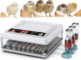 CARLA HOME 70 Egg Incubator withmatic Turning, LED Display, Humidity & Temperature Control, V178-36355