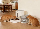 Automatic Cat Feeder and Water 2-in-1 Pet Automatic Fountain Food Bowl Spill-Proof Cat Waterer for V1107-134-35378-PNK
