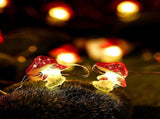 Fairy Lights 2M 20 LEDs, USB Rainproof LED String Lights for Christmas V1263-JX-5073