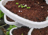 5 Tier Stackable Planter Pots Vertical Garden Stacking Space Saving High Yield Ideal for Herbs V985-STACKABLEPLANTERSET