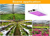 Plant Grow Light LED Succulent Fill Light Full Spectrum Vegetable Flower Indoor Plant Light High V1294-YM0901-L6810EU