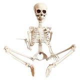 Life Size Posable Halloween Skeleton - 35" Realistic Human Skeleton with Movable Joints for Outdoor V1366-AZ2-W-16567