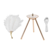 Feather Table Lamp USB Rechargeable Ostrich Feather Desk Light with Gold Tripod for Bedroom 40Pcs V1294-YM0521-3119230059511