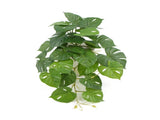 Decorative Artificial Monstera Adansonii Plant in Ceramic Bowl 30cm V637-DP751890127