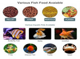 Automatic Fish Feeder Aquarium Food Dispenser Digital Auto Timer Vacation Feeder for Home Office V1366-AZ2-W-24360